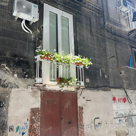 Le Casine Di Spaccanapoli Exteriér fotografie